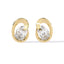 Ovel Loop Diamond Studs