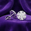 The Solis Radiance Cluster Studs