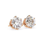 Solitaire Round Royal Star Studs✨