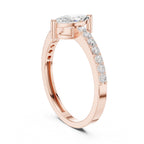 The Monarch Marquise