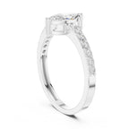 The Monarch Marquise