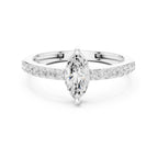 The Monarch Marquise