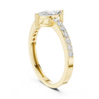 The Monarch Marquise