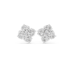 The Lyra Whirlwind Cluster Studs