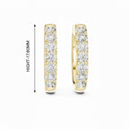 pure diamond spark hoops