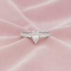 The Monarch Marquise