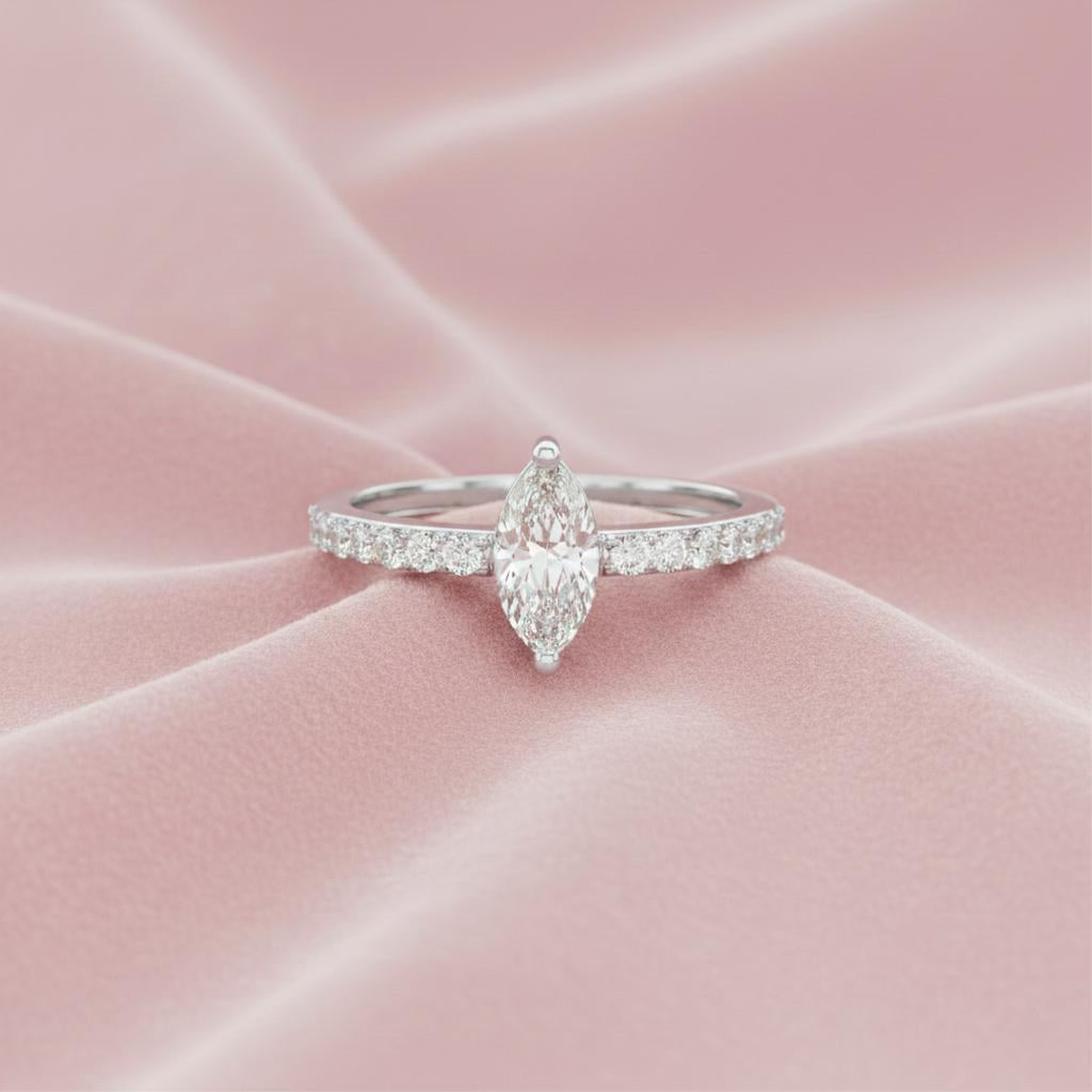 The Monarch Marquise