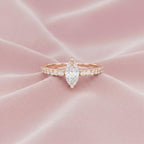 The Monarch Marquise