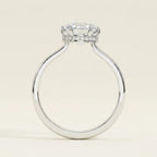 The Secret Halo Solitaire